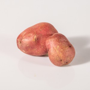 Patata vermella maresme - 1 un de 200 g aprox