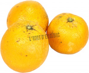 Taronja de taula (5 un/kg)